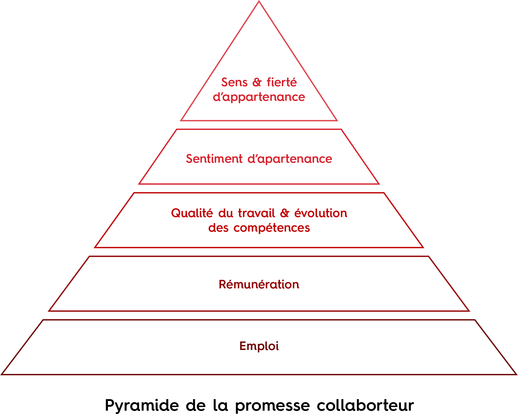 Pyramide de la promesse collaborateur